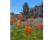 Condo building featuring colorful flowers in foreground and manicured landscaping creating a serene atmosphere at 1908 Rio Canyon Ct # 105, Las Vegas, NV 89128