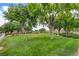 Scenic green space featuring mature trees and lush grass, offering a peaceful view at 2766 Mintlaw Ave, Henderson, NV 89044