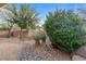 Landscaped backyard features attractive rock and gravel ground cover with lush trees and shrubbery at 6061 Moonlight Sonata Ave, Las Vegas, NV 89122