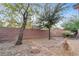 Landscaped backyard features attractive rock and gravel ground cover with trees at 6061 Moonlight Sonata Ave, Las Vegas, NV 89122