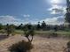 Scenic view of lush green golf course fairways and beautiful community homes under a bright sky at 5401 Painted Sunrise Dr, Las Vegas, NV 89149