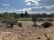 Expansive golf course view, providing a picturesque backdrop for this serene and upscale property at 5401 Painted Sunrise Dr, Las Vegas, NV 89149