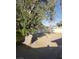 Spacious backyard with mature tree, offering shade and potential for landscaping at 1936 Lawry Ave, North Las Vegas, NV 89032