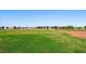 Large grassy sports field featuring well-maintained grounds with trees and outdoor recreational equipment at 3708 Fuselier Dr, North Las Vegas, NV 89032