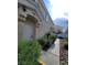 View of the front door of the townhome surrounded by green shrubbery at 5969 High Steed St # 101, Henderson, NV 89011