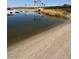 Serene lakeside beach with clear water, a boat dock, and scenic palm trees in the background at 8 Reflection Cove Dr, Henderson, NV 89011