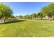 Expansive community park features a large grassy area with mature trees and landscaping at 8843 Tomnitz Ave # 102, Las Vegas, NV 89178