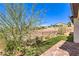 Picturesque backyard with iron fencing, manicured landscaping, and desert views at 187 Palm Fox Ct, Henderson, NV 89011
