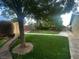 Backyard featuring artifical turf, mature trees, a shed and a brick fence at 3633 Monte Verde St, Las Vegas, NV 89121