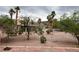 View of desert landscaped backyard with palms and wrought iron fence at 438 Fountain Grove St, Henderson, NV 89012