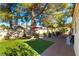 Serene backyard boasts a lush lawn, mature tree, and covered patio, creating a tranquil and private outdoor retreat at 5104 Drummond Rd, Las Vegas, NV 89130