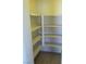 Bright walk-in pantry with multiple shelves, great for organizing groceries and kitchen essentials at 733 Hitchen Post Dr, Henderson, NV 89011