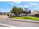 Home featuring manicured lawn, mature trees, and chain-link fence in front yard at 343 W Basic Rd, Henderson, NV 89015