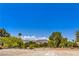 Street view with desert landscaping, mature trees and views of mountain range at 7772 Buckwood Ct, Las Vegas, NV 89149