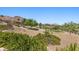 Scenic backyard with desert landscaping, native plants, and views of mountains at 3048 Red Arrow Dr, Las Vegas, NV 89135