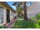 Private backyard featuring synthetic grass, a large shade tree, seating, and a low-maintenance landscape at 4908 Winterset Dr, Las Vegas, NV 89130
