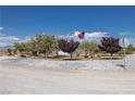 Landscaped yard with gravel and plants, showcasing an American flag and street sign at 1830 E Fuchsia St, Pahrump, NV 89048