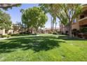 Lush green space with mature trees and manicured lawn, perfect for outdoor recreation and relaxation at 1050 E Cactus Ave # 2104, Las Vegas, NV 89183
