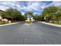 Street view showcasing the well-maintained road and landscaping within the community at 7961 Alta Lima Valley Ct, Las Vegas, NV 89178