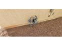 Exterior gas meter located on the property at 1013 Adobe Flat Dr, Henderson, NV 89011