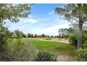 Lush greenbelt with mature trees provides a serene and natural setting at 7908 House Sparrow St, North Las Vegas, NV 89084