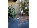 Landscaped front yard with gravel pathway and mature shrubs at 4951 Schumann Dr, Las Vegas, NV 89146