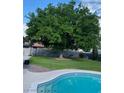 Large backyard with swimming pool and a mature shade tree at 3690 S Rosecrest Cir, Las Vegas, NV 89121