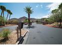 Community gate with meticulously landscaped grounds, mature trees, and manicured shrubbery at 716 Solitude Point Ave, Henderson, NV 89012