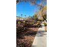 A landscaped yard, with a winding pathway and scattered trees at 3023 Sunset Harbor Ct, North Las Vegas, NV 89031