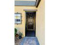 Close-up of a modern front door with a decorative security screen and tiled entryway at 647 Wounded Star Ave, Las Vegas, NV 89178