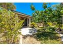 Secluded backyard featuring a covered patio and lush greenery, perfect for outdoor relaxation and entertaining at 3709 Citrus Heights Ave, North Las Vegas, NV 89081