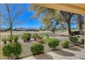 Beautiful backyard view overlooking the golf course, mature landscaping, and patio at 8805 Litchfield Ave, Las Vegas, NV 89134