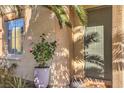 Inviting front door entrance with potted rose bush at 6228 Wood Stork Ave, Las Vegas, NV 89122