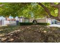 Single-story house with a lush tree and yard at 4850 Aveneda Grande, Las Vegas, NV 89121