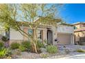 Landscaped front yard with drought-tolerant plants and a walkway at 251 Castellari Dr, Las Vegas, NV 89138