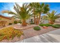 Landscaped front yard with mature palm trees and drought-tolerant plants at 2373 Rosendale Village Ave, Henderson, NV 89052