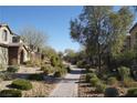 Landscaped community with a walking path and well-maintained yards at 1023 Desert Dome Ave, North Las Vegas, NV 89086