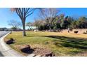 Community park with grassy area, trees, and picnic table at 5633 Bridgehampton Ave, Las Vegas, NV 89130