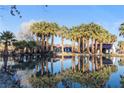Property features a pond with palm trees reflecting in the water at 4255 W State Highway 168, Moapa, NV 89025