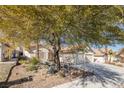 Single-story house with a two-car garage and mature tree shade at 3109 Siena Cir, Las Vegas, NV 89128