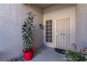 Front entry with security door and large potted plant at 4613 Golden Palomino Ln, North Las Vegas, NV 89032