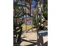 Building 7 sign with cacti in the foreground at 3761 Desert Marina Dr # 81, Laughlin, NV 89029