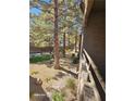 Brick pathway through a tree-lined courtyard at 2200 S Fort Apache Rd # 2050, Las Vegas, NV 89117