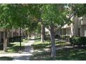 Pathway through a tree-lined community at 2616 Aracatuba Ave, Las Vegas, NV 89121