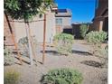 Landscaped side yard with gravel and plants at 7050 Fossil Rim St, Las Vegas, NV 89084