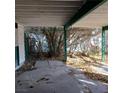 Image looking out from covered carport area with view of overgrown bushes at 2612 Cabot St, Las Vegas, NV 89102