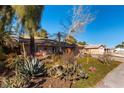 Landscaped yard with mature trees and desert plants at 57 Marion Dr, Las Vegas, NV 89110