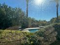 Backyard pool with lush greenery providing privacy in an outdoor setting at 312 N Royal Ascot Dr, Las Vegas, NV 89144