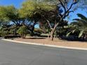 Scenic street view with mature trees, manicured landscaping, and a peaceful atmosphere at 312 N Royal Ascot Dr, Las Vegas, NV 89144