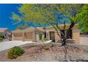 Tan house with stone accents, three-car garage, and mature tree in front at 3004 Canton Hills St, Henderson, NV 89052